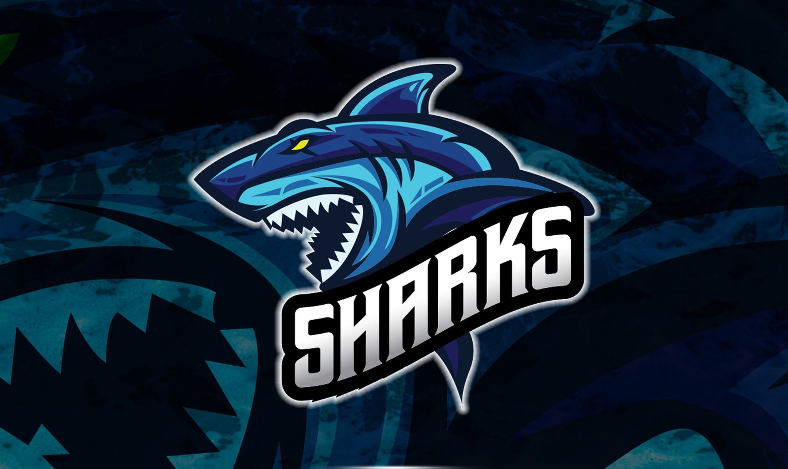 ENTRENA SHARKS